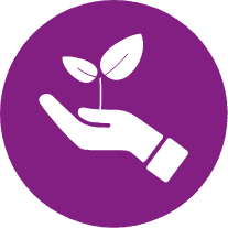 Nachhaltig icon 1 frionic by forstner